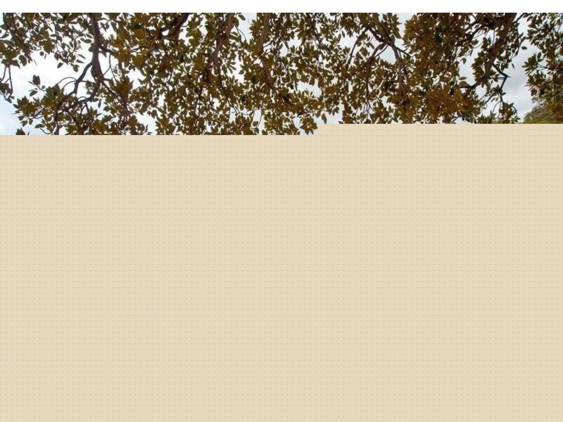 3/38A Awaba Street, Mosman NSW 2088