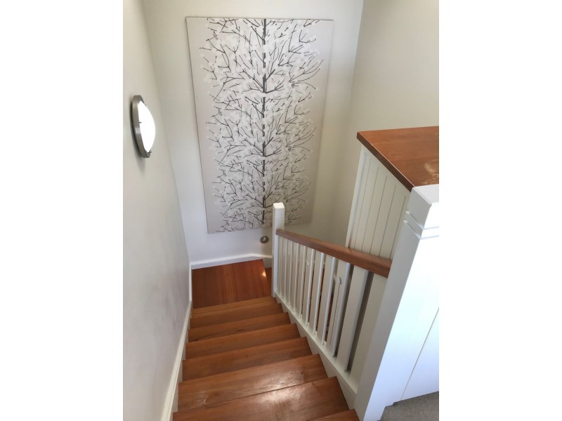 57 Carlotta Street, Greenwich NSW 2065