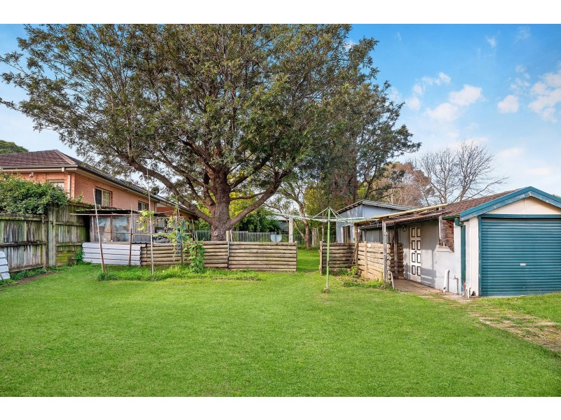 51 Queen Street, North Strathfield NSW 2137