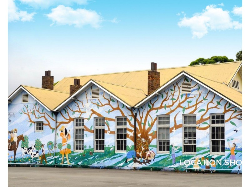 41 Perry Street, Lilyfield NSW 2040