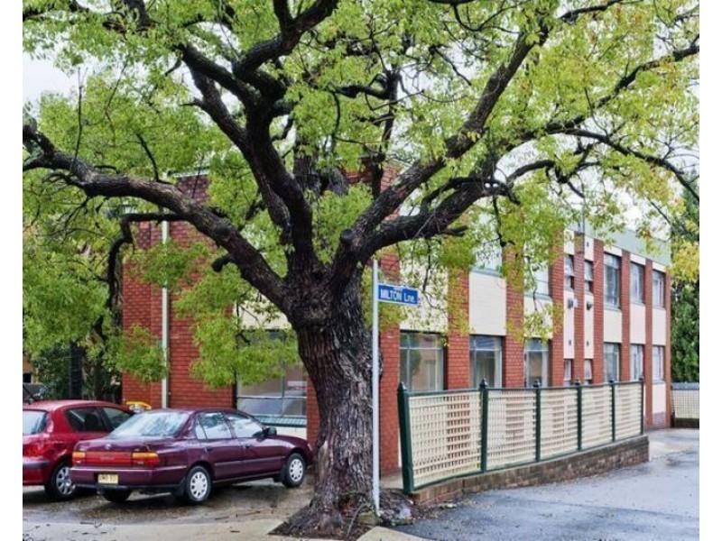 3/211 Norton Street, Ashfield NSW 2131