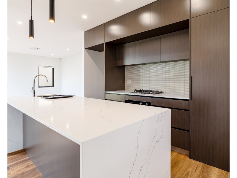 29 Princess Avenue, North Strathfield NSW 2137