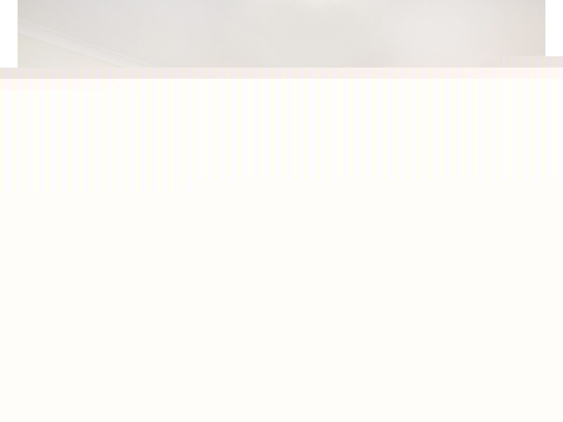 4/44 Homebush Road, Strathfield NSW 2135