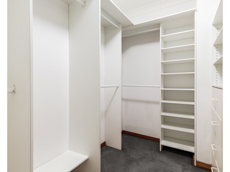 161A Homebush Road, Strathfield NSW 2135