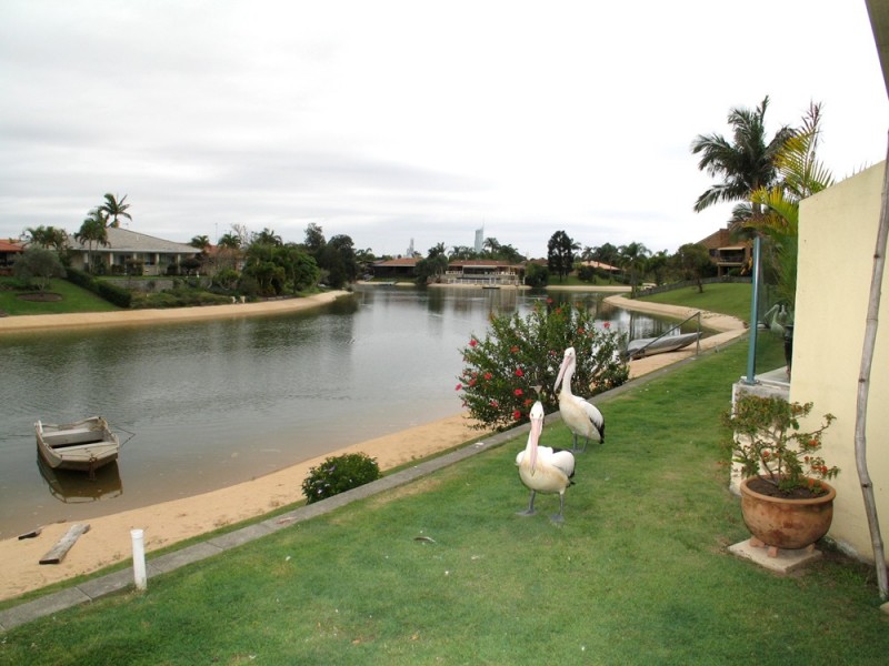 Mermaid Waters QLD 4218