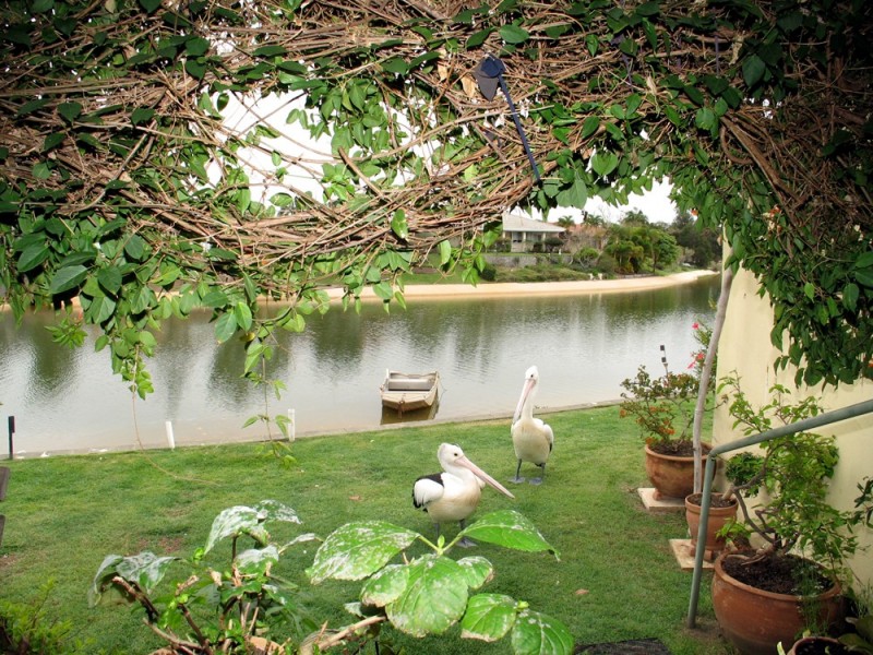 Mermaid Waters QLD 4218