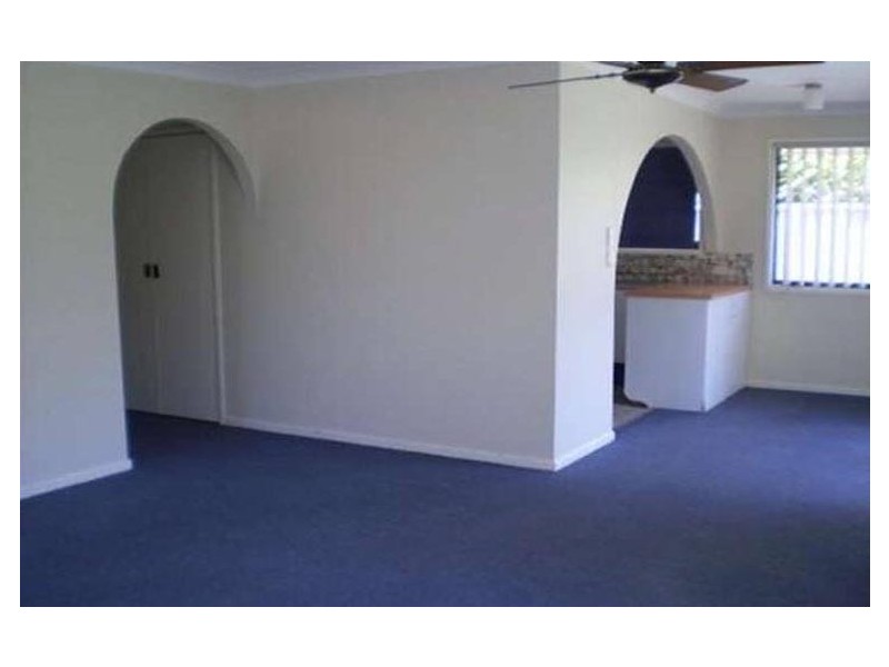 19 Wildwood Ct, Surfers Paradise QLD 4217