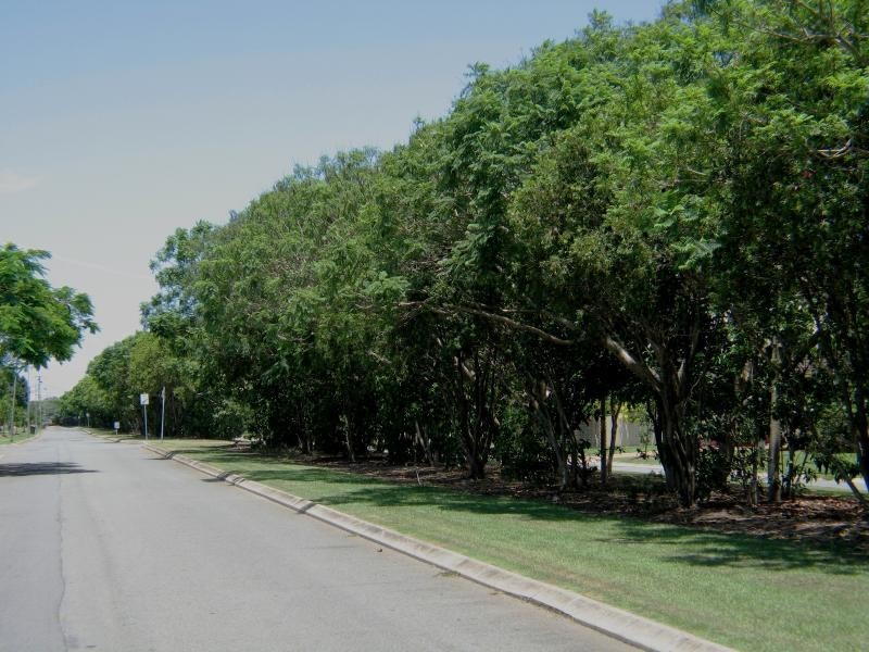 Broadbeach Waters QLD 4218