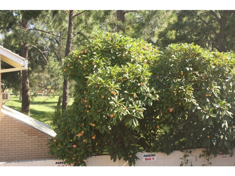 3/34 Monaco St, Broadbeach Waters QLD 4218