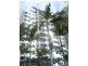Broadbeach QLD 4218