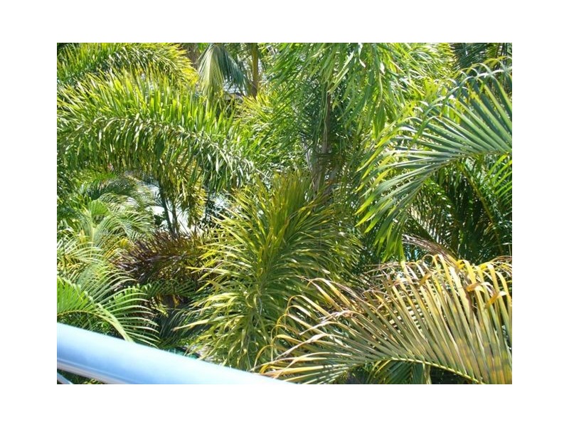 Mermaid Beach QLD 4218