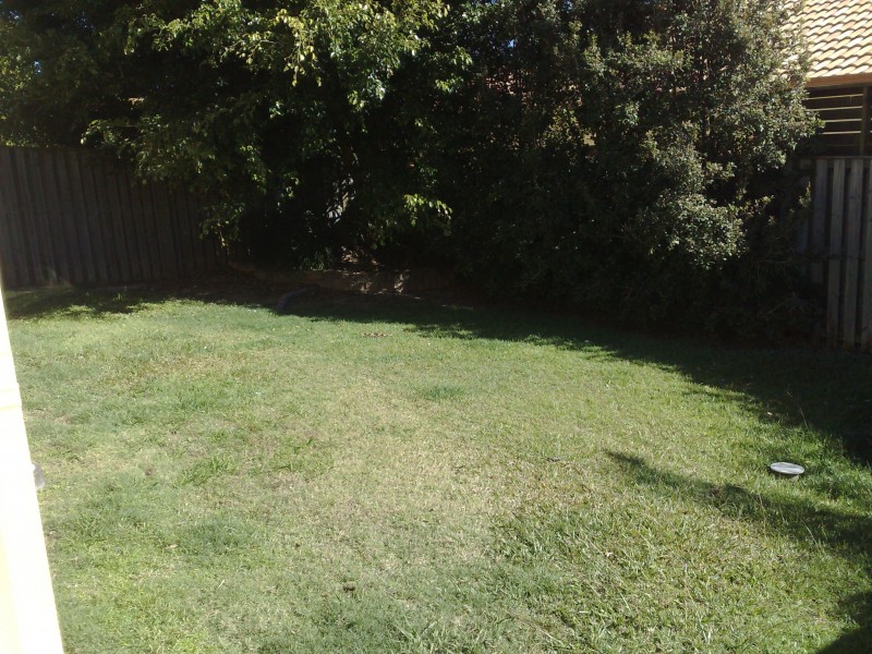 Robina QLD 4226