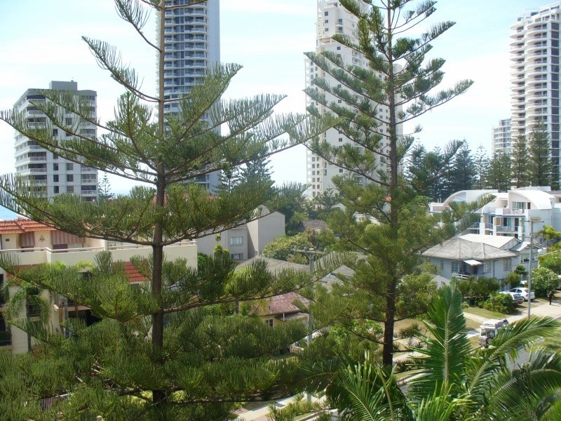 Surfers Paradise QLD 4217
