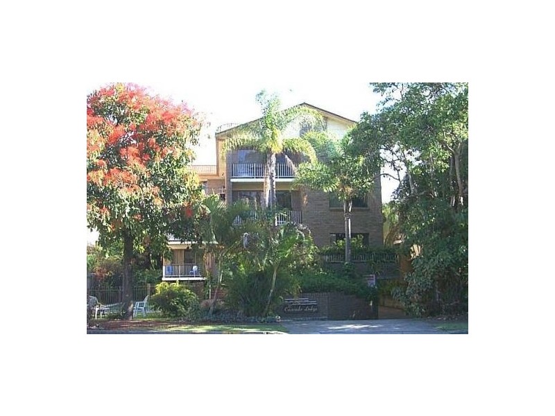 16 Rosewood Avenue, Broadbeach QLD 4218