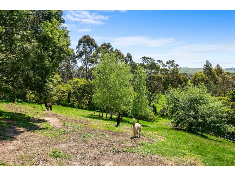 29 Inches Road, Korumburra VIC 3950