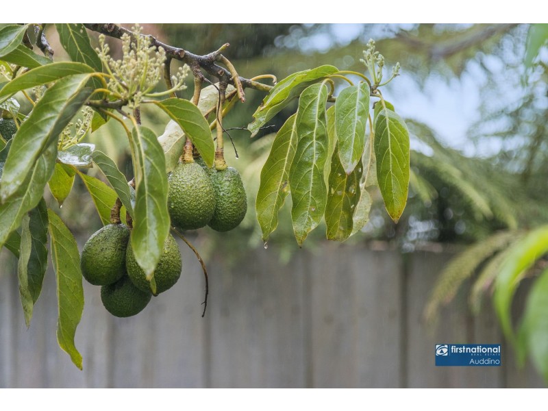 5 Jumbunna Road, Korumburra VIC 3950