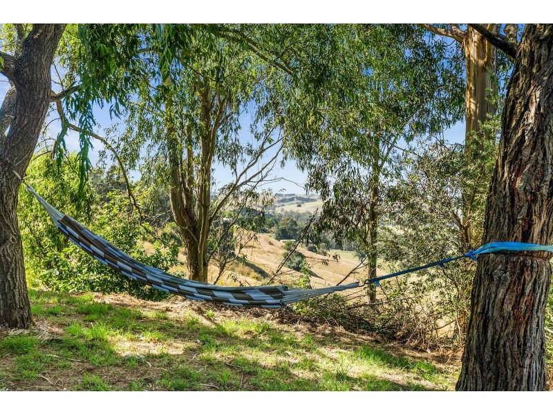 53-59 Nyora Road, Poowong VIC 3988