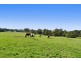 51 Stedmans Road, Korumburra VIC 3950
