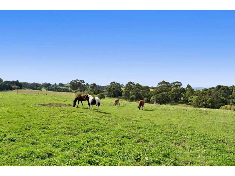 51 Stedmans Road, Korumburra VIC 3950