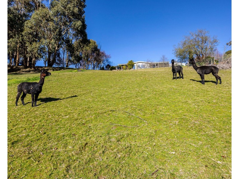 31 Inches Road, Korumburra VIC 3950