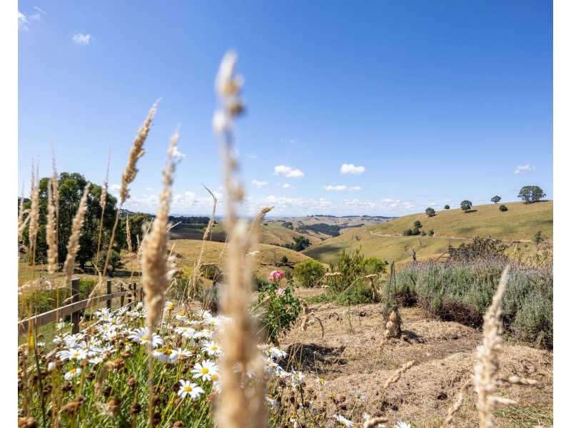 1460 Korumburra-Warragul Road, Strzelecki VIC 3950