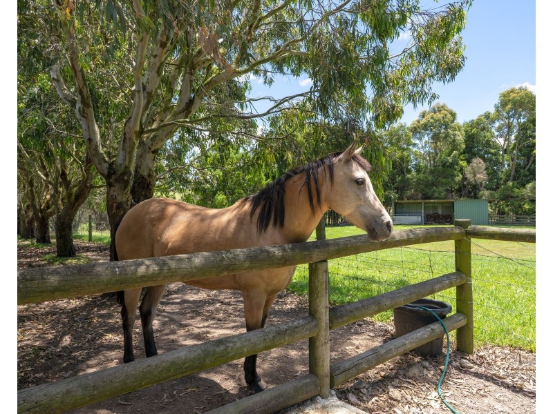 68 Whitworths Road, Korumburra South VIC 3950