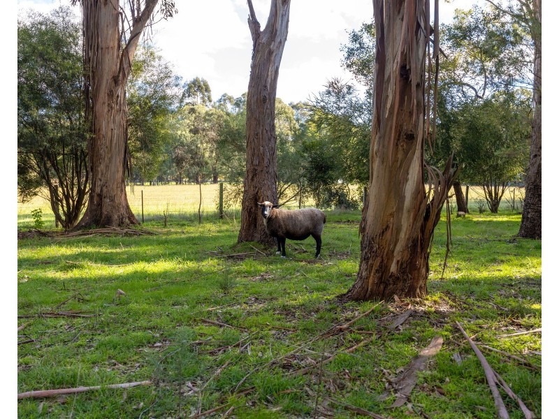 345 Henrys Road, Loch VIC 3945