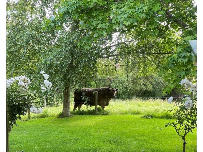 326 Ferriers Road, Poowong VIC 3988