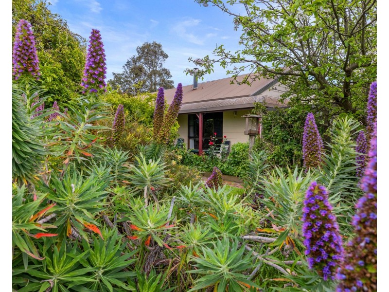 114 Smythe Street, Corinella VIC 3984