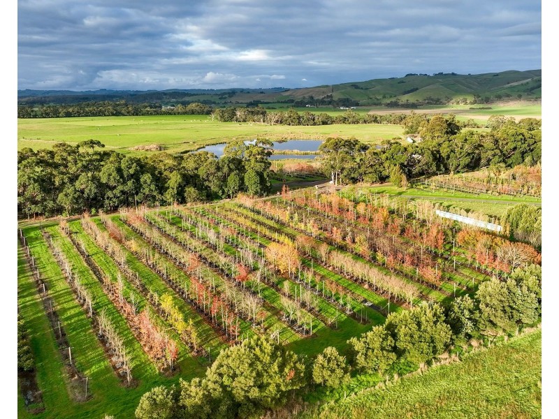 347 McKenzie Road, Glen Forbes VIC 3990