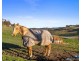 175 Sullivans Road, Korumburra VIC 3950