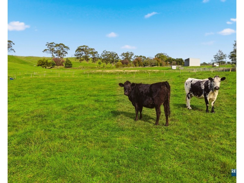 9048 South Gippsland Highway, Kardella South VIC 3950