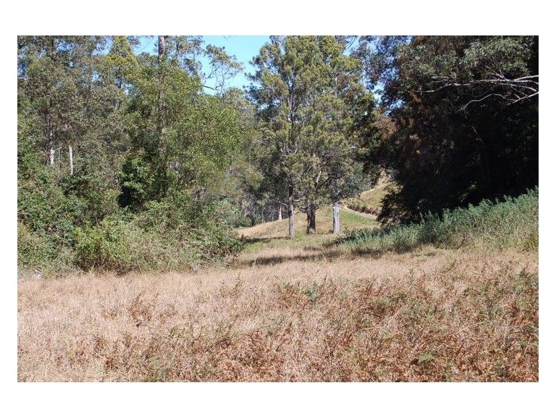 534 Missabotti Road, Missabotti NSW 2449