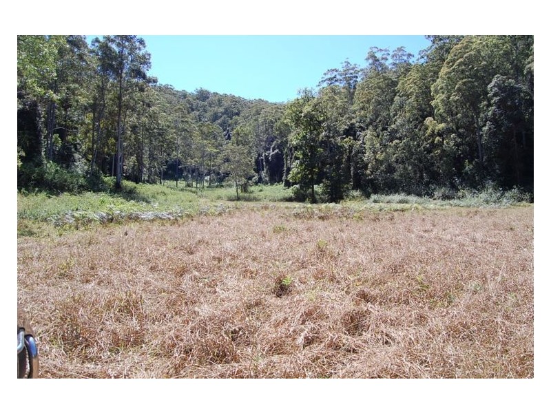 534 Missabotti Road, Missabotti NSW 2449