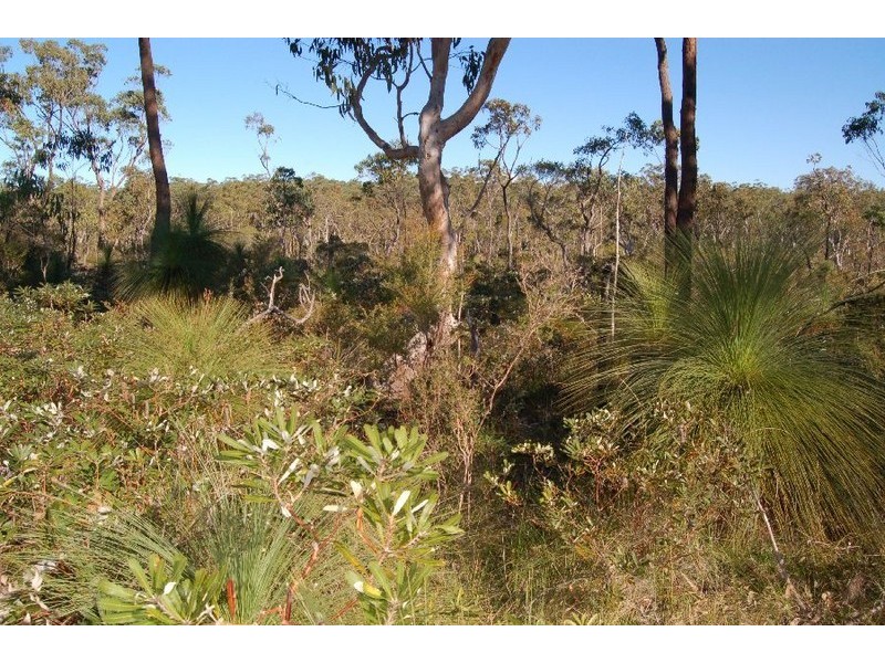 1389 Florda Red Drive, Wells Crossing NSW 2460