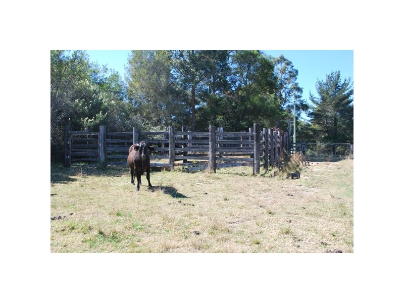 49 Cradle Creek Road, Lowanna NSW 2450