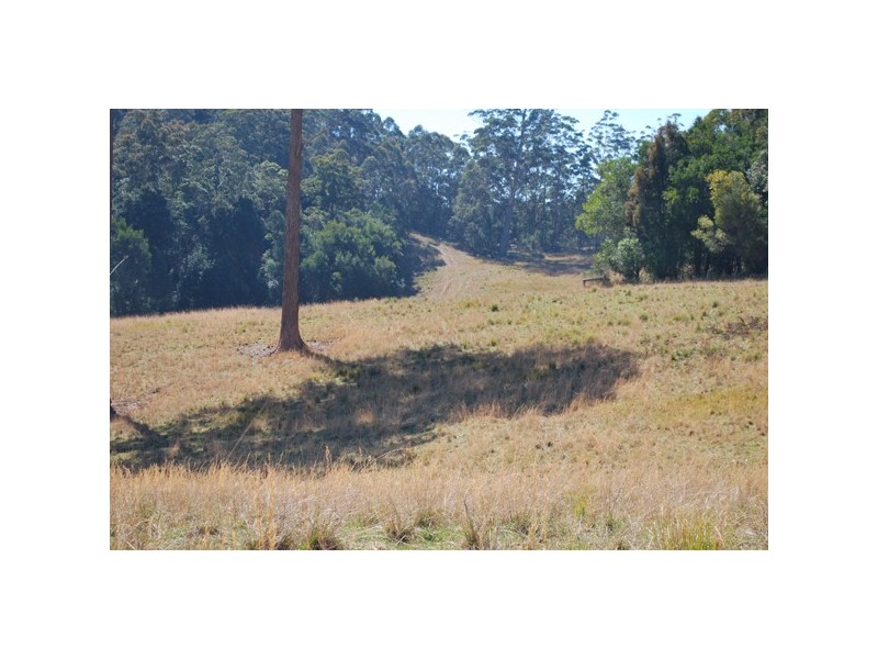 49 Cradle Creek Road, Lowanna NSW 2450