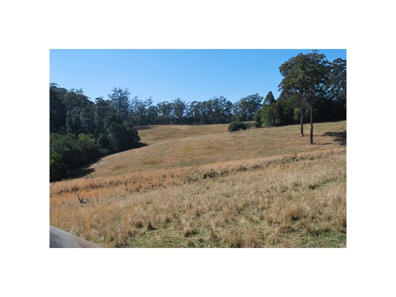 49 Cradle Creek Road, Lowanna NSW 2450