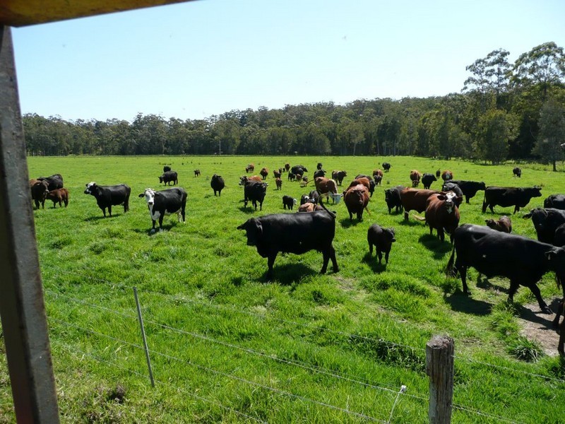 33a River Street, Repton NSW 2454