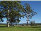 33a River Street, Repton NSW 2454