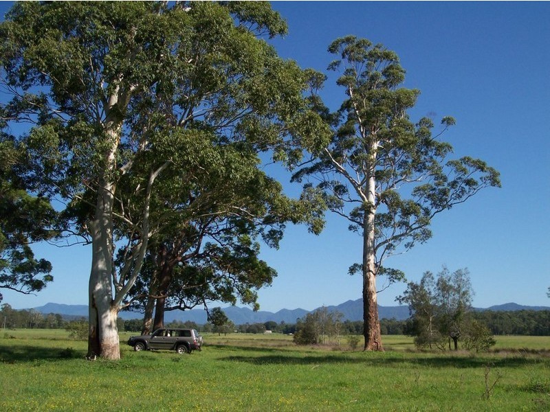 33a River Street, Repton NSW 2454