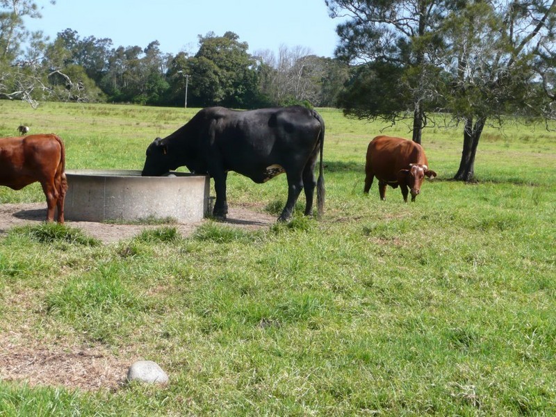 33a River Street, Repton NSW 2454