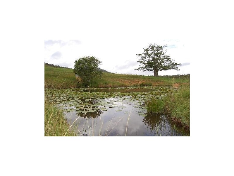 Lot 320 Wards Road, Macksville NSW 2447