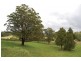 Lot 320 Wards Road, Macksville NSW 2447