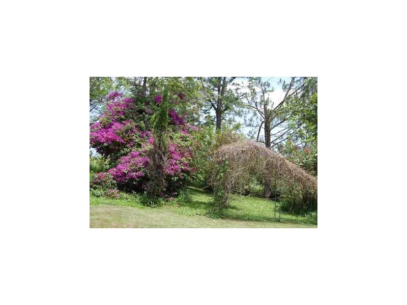 55 Borefield Road, Bowraville NSW 2449