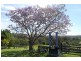 63 Dures Lane, Tamban NSW 2441