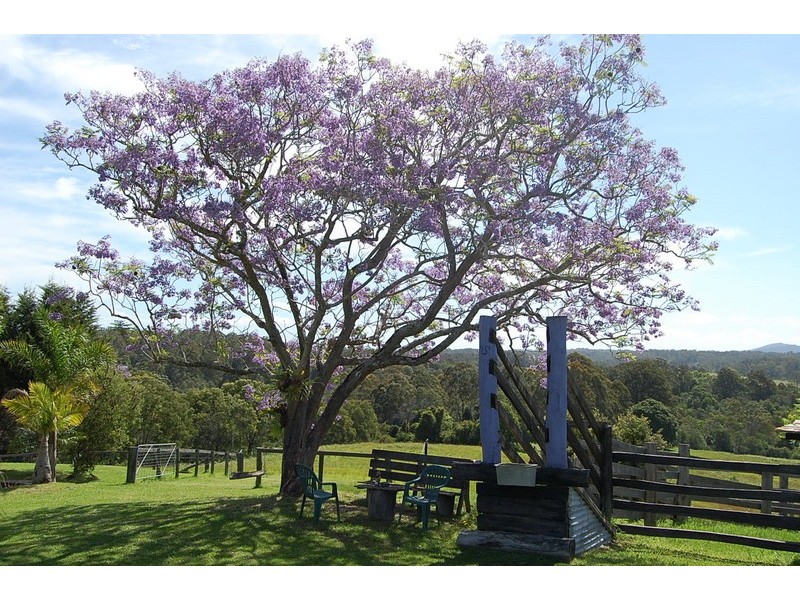 63 Dures Lane, Tamban NSW 2441