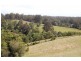 63 Dures Lane, Tamban NSW 2441
