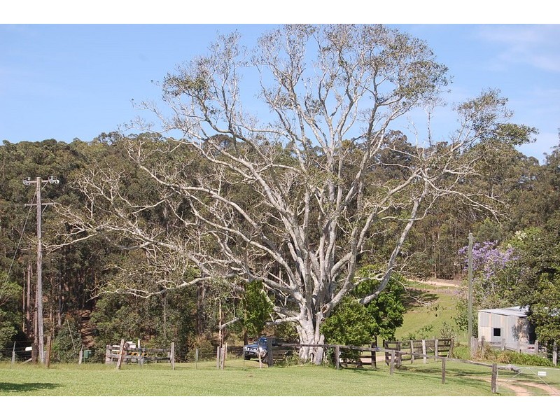 63 Dures Lane, Tamban NSW 2441