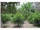 735 Warrell Creek Road, Warrell Creek NSW 2447